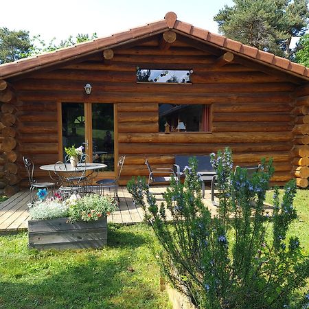 Pialous:Chalet en rondins avec Espace Détente La Chapelle-d'Aurec Esterno foto
