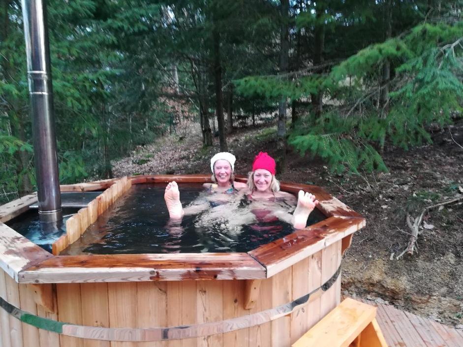 Pialous:Chalet en rondins avec Espace Détente La Chapelle-d'Aurec Esterno foto