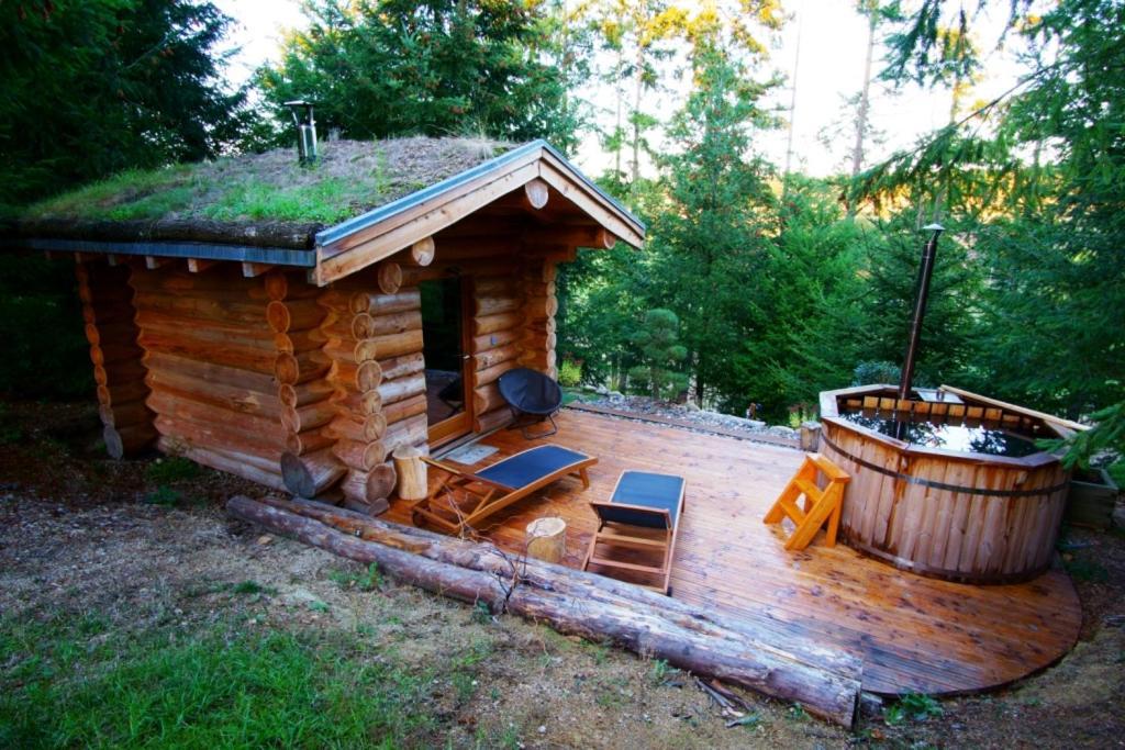 Pialous:Chalet en rondins avec Espace Détente La Chapelle-d'Aurec Esterno foto