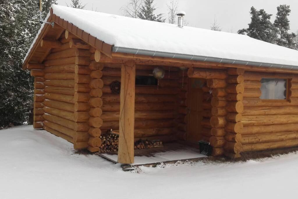 Pialous:Chalet en rondins avec Espace Détente La Chapelle-d'Aurec Esterno foto